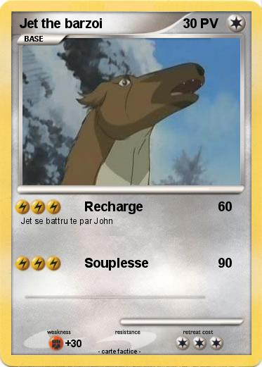 Pokemon Jet the barzoi