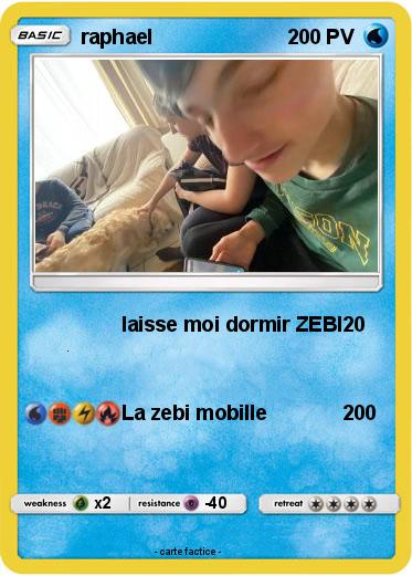 Pokemon raphael