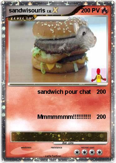 Pokemon sandwisouris