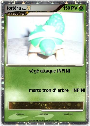 Pokemon tortéra
