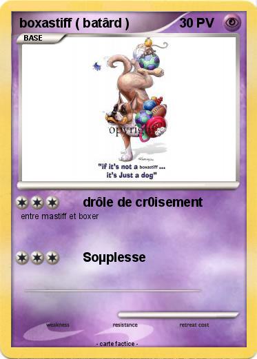 Pokemon boxastiff ( batârd )