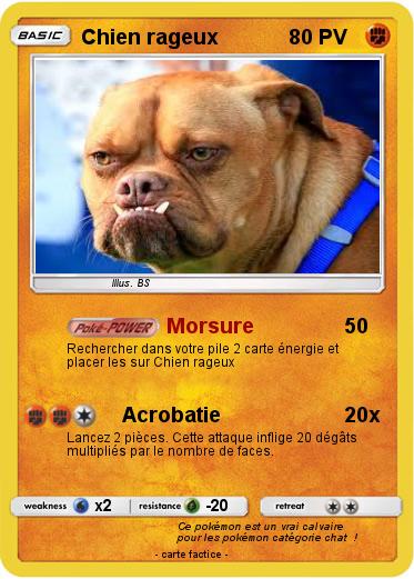 Pokemon Chien rageux