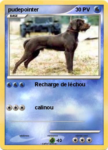 Pokemon pudepointer
