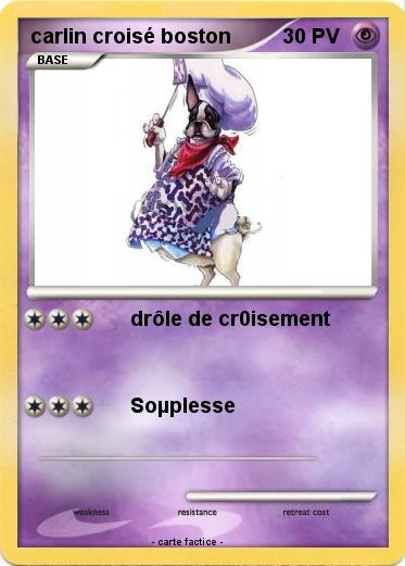 Pokemon carlin croisé boston