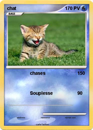 Pokemon chat