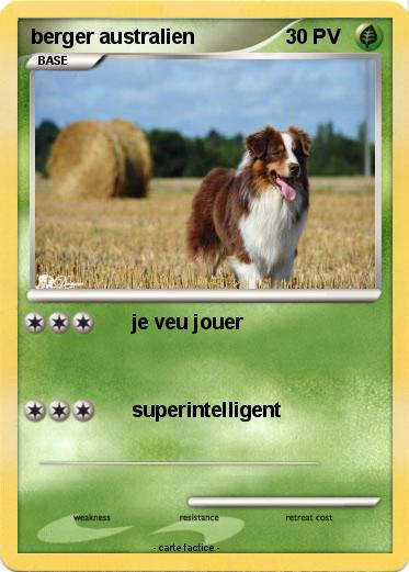 Pokemon berger australien