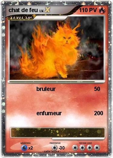 Pokemon chat de feu