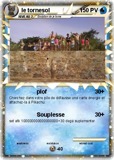 Pokemon le tornesol