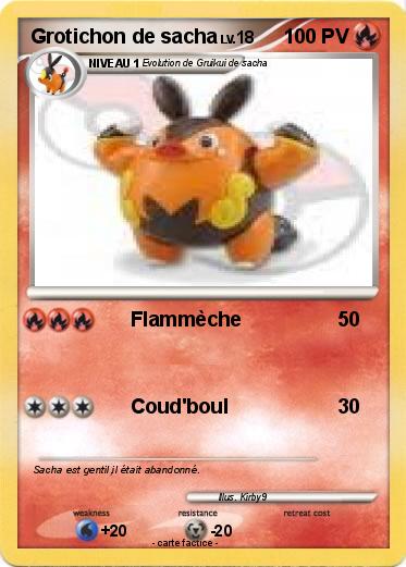 Pokemon Grotichon de sacha