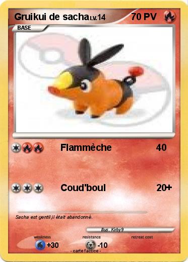 Pokemon Gruikui de sacha