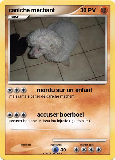 Pokemon caniche méchant