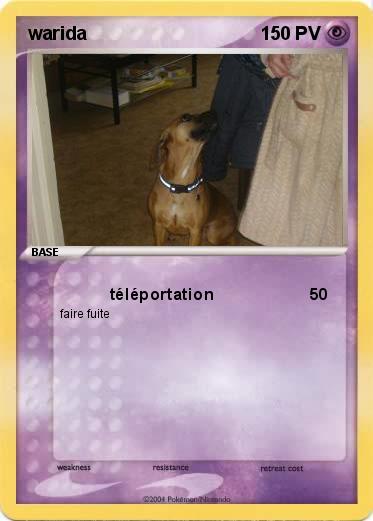 Pokemon warida