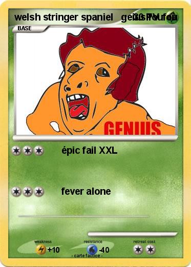 Pokemon welsh stringer spaniel   geius foufou