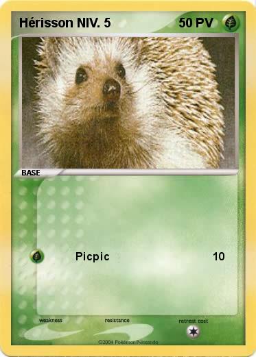Pokemon Hérisson NIV. 5
