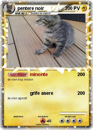 Pokemon pentere noir