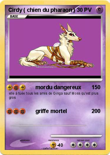 Pokemon Cirdy ( chien du pharaon )