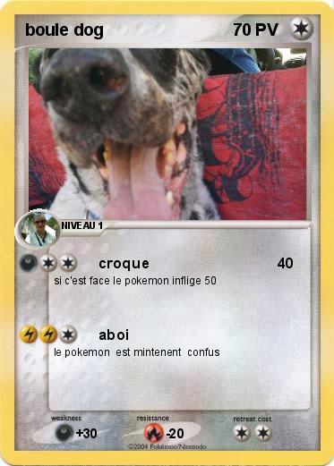 Pokemon boule dog 