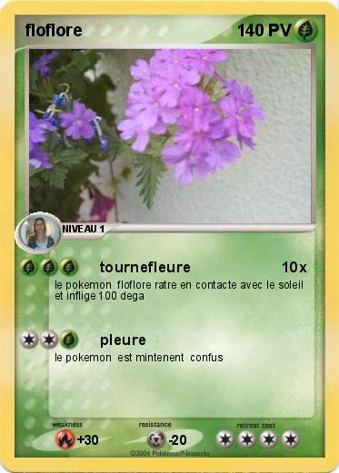 Pokemon floflore