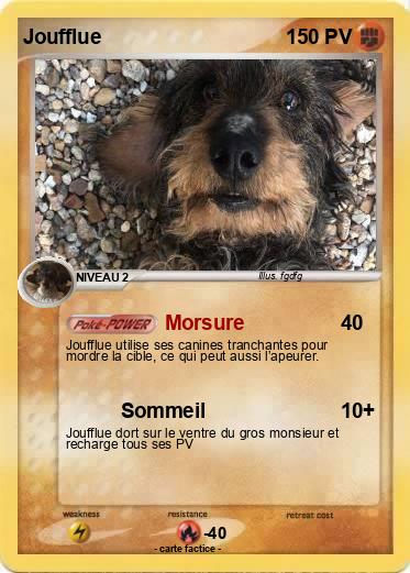 Pokemon Joufflue