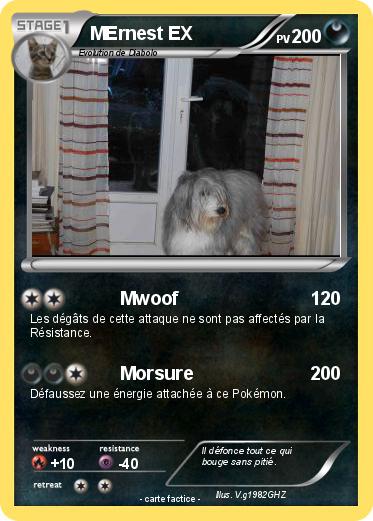 Pokemon MErnest EX