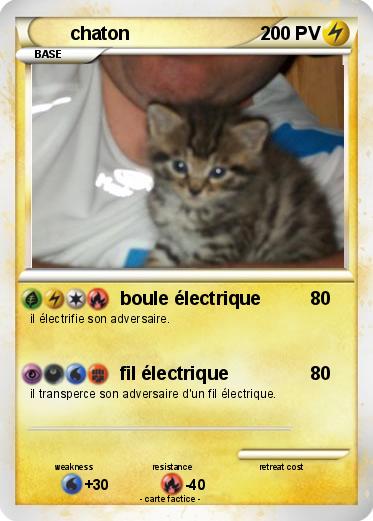 Pokemon chaton