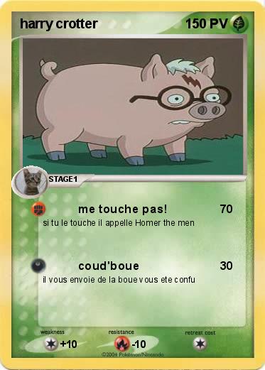 Pokemon harry crotter