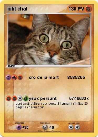 Pokemon pitit chat