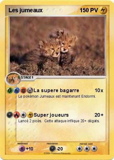 Pokemon Les jumeaux