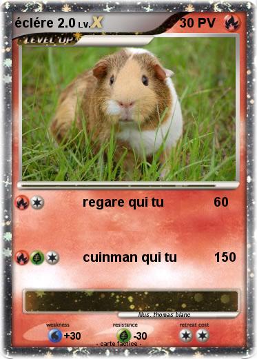 Pokemon éclére 2.0