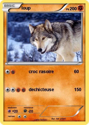 Pokemon loup