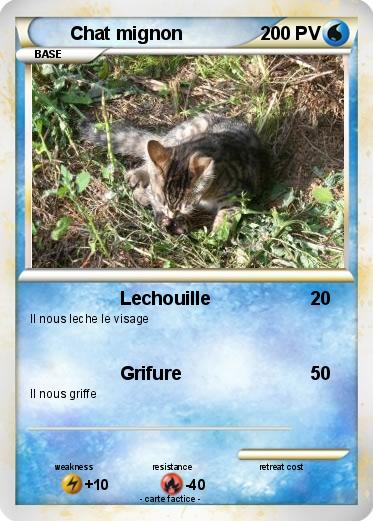 Pokemon Chat mignon