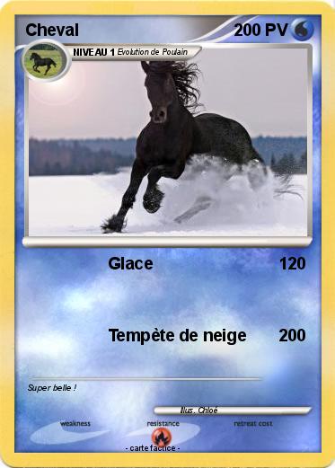 Pokemon Cheval