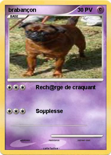 Pokemon brabançon