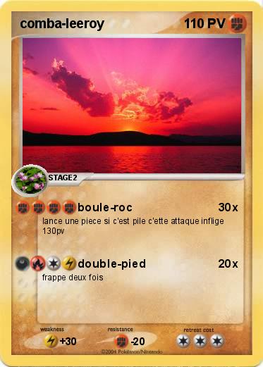 Pokemon comba-leeroy