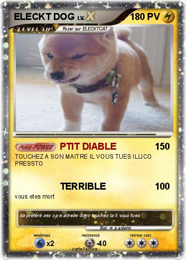 Pokemon ELECKT DOG