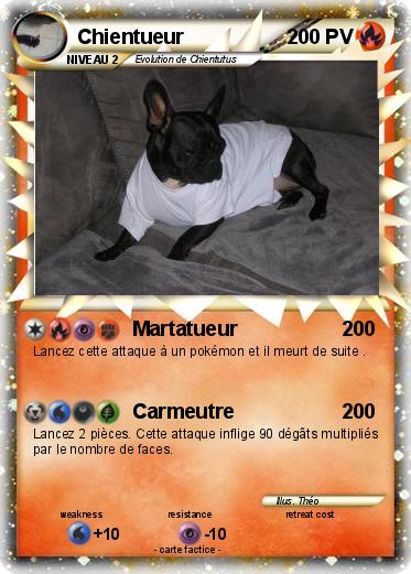 Pokemon Chientueur
