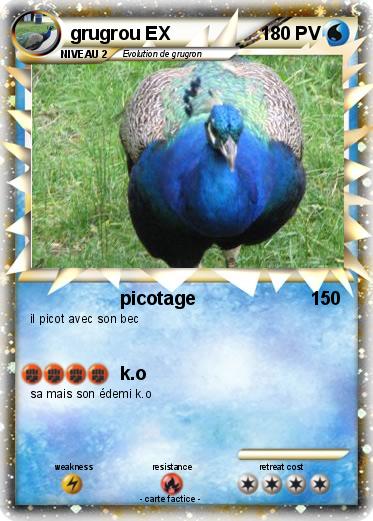 Pokemon grugrou EX