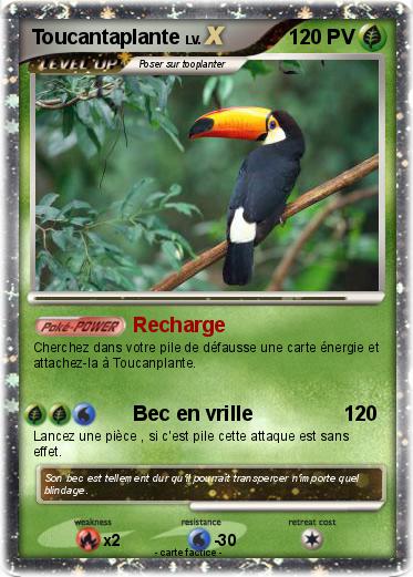 Pokemon Toucantaplante