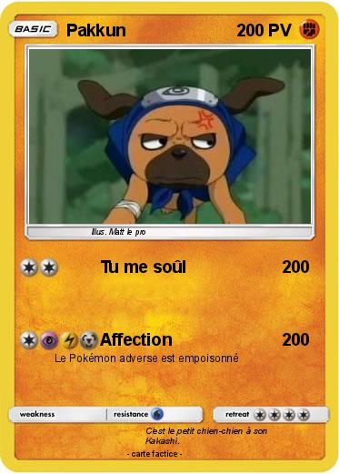 Pokemon Pakkun