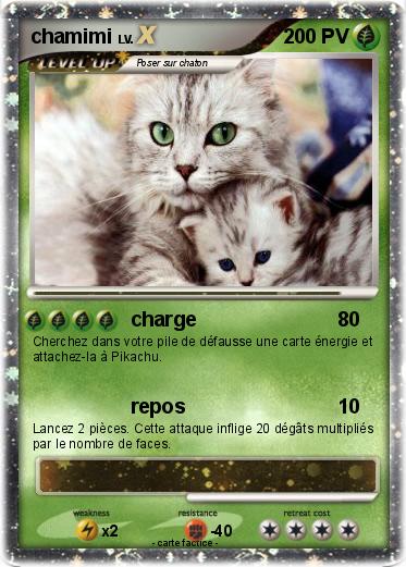 Pokemon chamimi