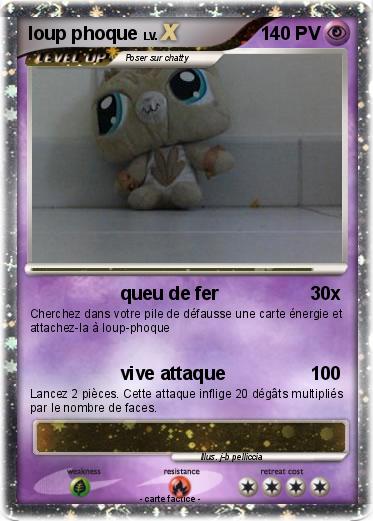 Pokemon loup phoque