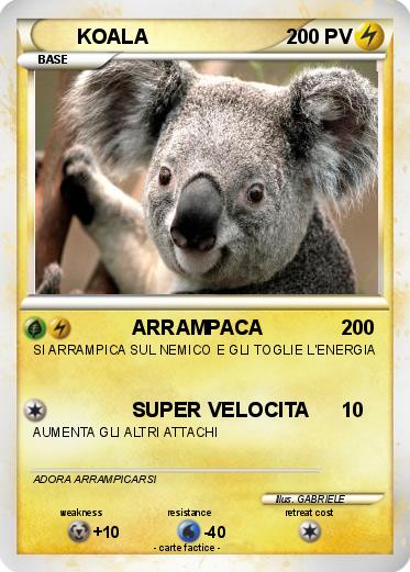 Pokemon KOALA