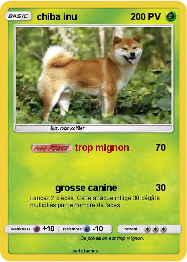 Pokemon chiba inu