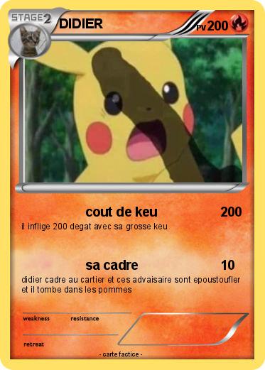 Pokemon DIDIER