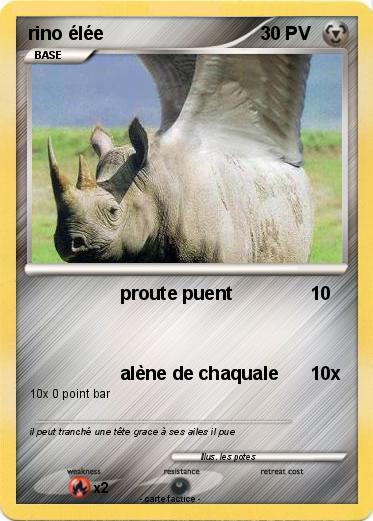 Pokemon rino élée