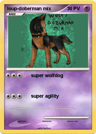 Pokemon loup-doberman mix