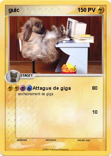 Pokemon guic