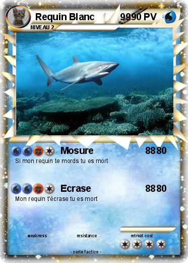 Pokemon Requin Blanc          99