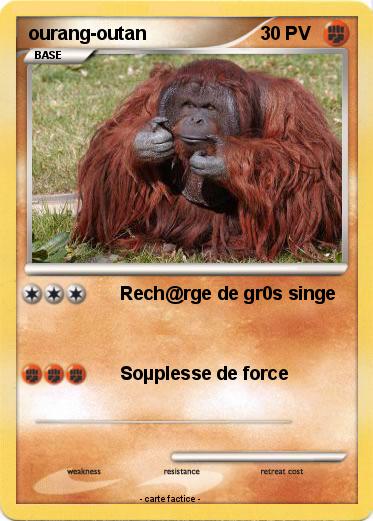 Pokemon ourang-outan