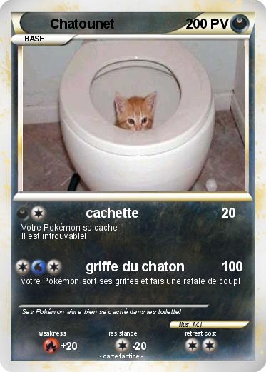Pokemon Chatounet